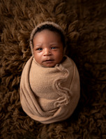 Casen Newborn Session