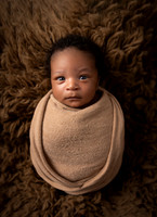 Newborn Image Selection