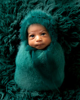 Calaya Newborn Session