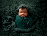 Lisa Shook-Chiles Newborn Session