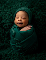 Newborn Session