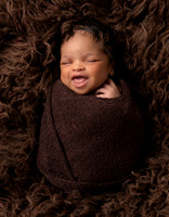 Xion Newborn Session