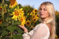 Carrie Sunflower Senior Shoot