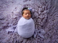 Jessica Williams Newborn Session