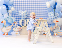 Owen One Year Cake Smash