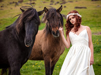Tracie Maglosky Global Portfolio - Selfoss Icelandic Ponies