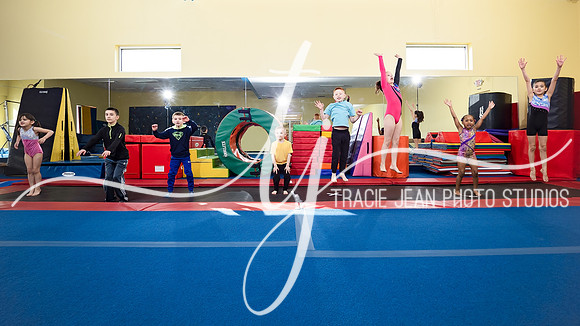 WCA WEB READY